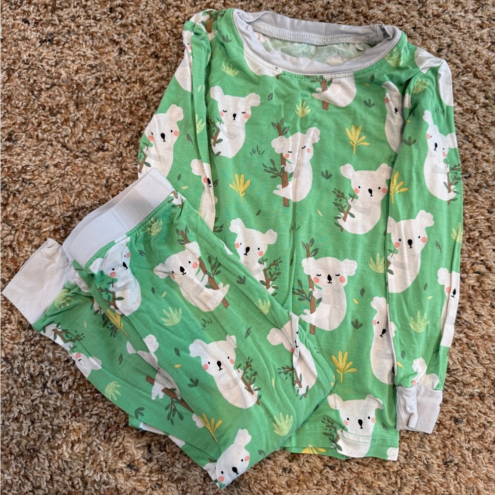 Little Sleepies pjs size 2T